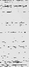 MTVZA-14.png